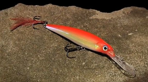 VIDEO: How to use – Rapala X-Rap Deep